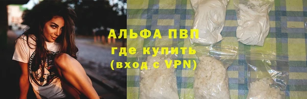 PSILOCYBIN Чердынь